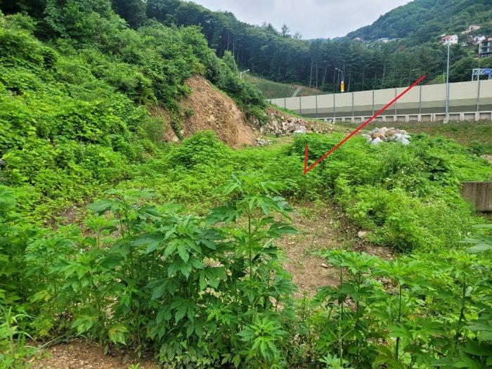 법원경매 2024타경3524 사진3 | 남양주시 수동면 임야 경매