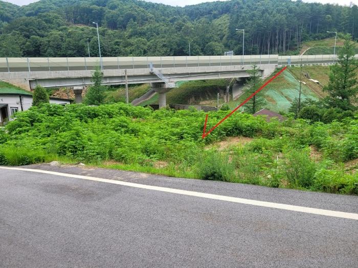 법원경매 2024타경3524 사진6 | 남양주시 수동면 임야 경매