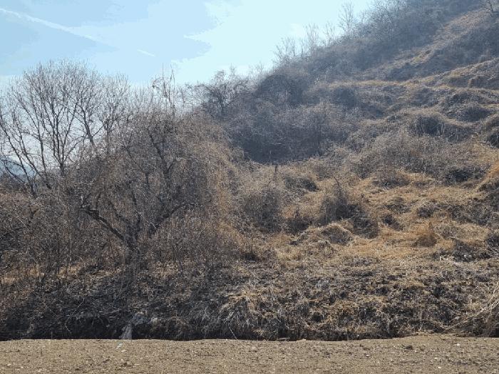 경상남도 함안군 칠북면 덕남리 1248 법원경매 물건 대표사진