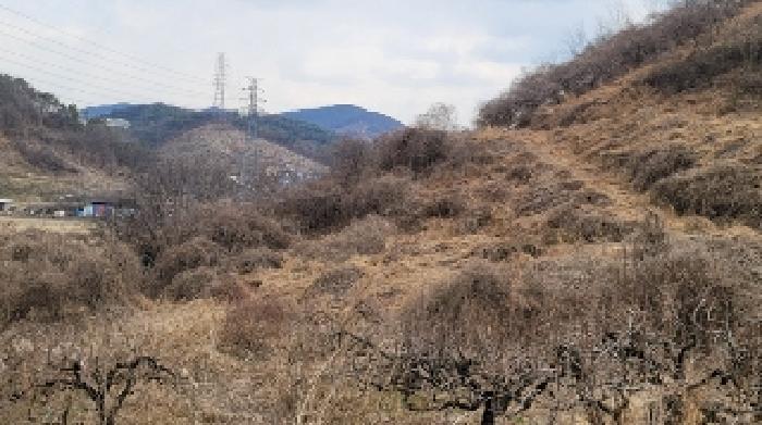 2025타경177 법원경매 사진8 | 경남 함안군 과수원 경매