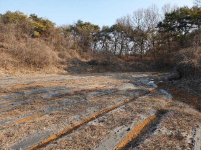 2023타경5198 법원경매 사진30 | 충북 단양군 전답 경매