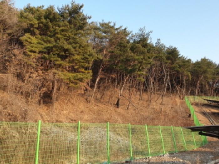 2023타경5198 법원경매 사진20 | 충북 단양군 전답 경매