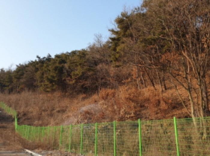 2023타경5198 법원경매 사진21 | 충북 단양군 전답 경매