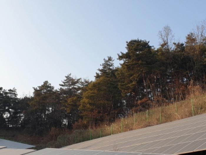 2023타경5198 법원경매 사진22 | 충북 단양군 전답 경매