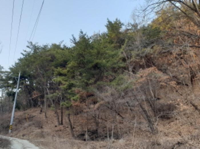 2023타경5198 법원경매 사진34 | 충북 단양군 전답 경매