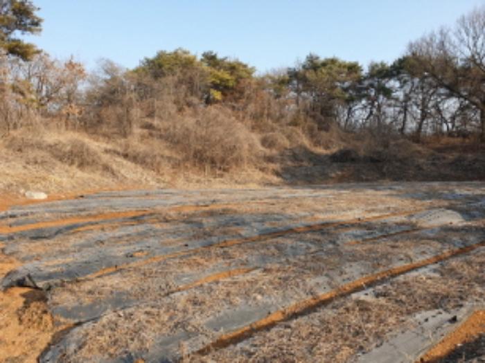 2023타경5198 법원경매 사진29 | 충북 단양군 전답 경매