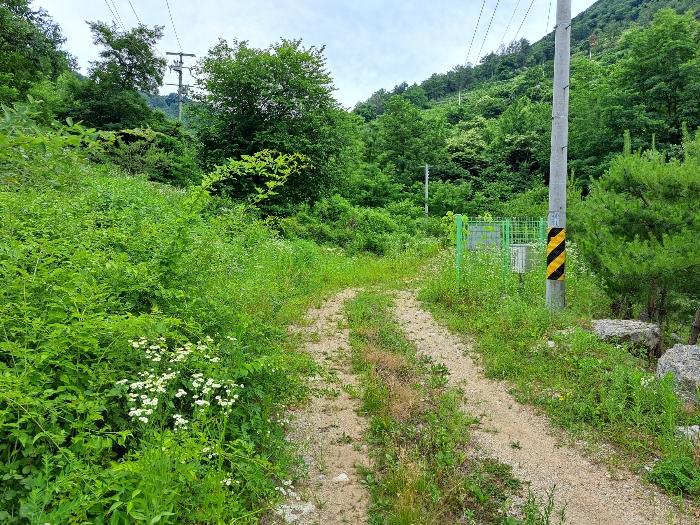 2024타경725 법원경매 사진13 | 충북 제천시 전 경매