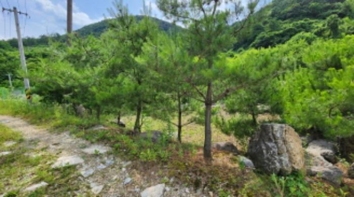 2024타경725 법원경매 사진41 | 충북 제천시 전 경매