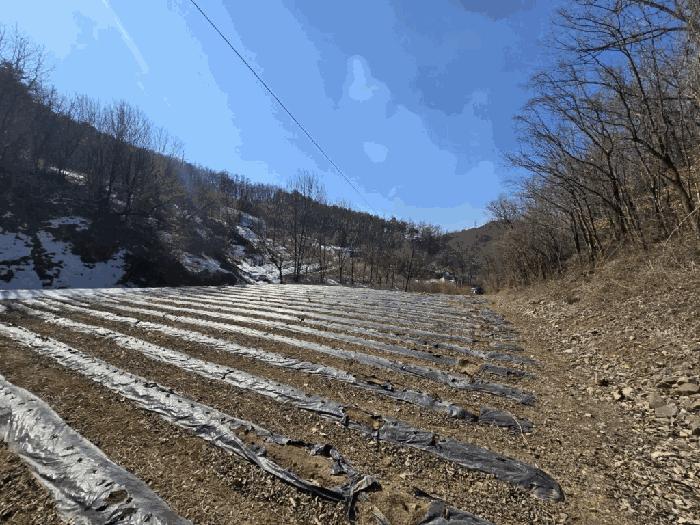 충청북도 단양군 가곡면 여천리 106 법원경매 물건 대표사진