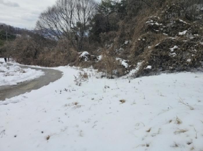 2025타경5252 법원경매 사진8 | 충북 단양군 답 경매