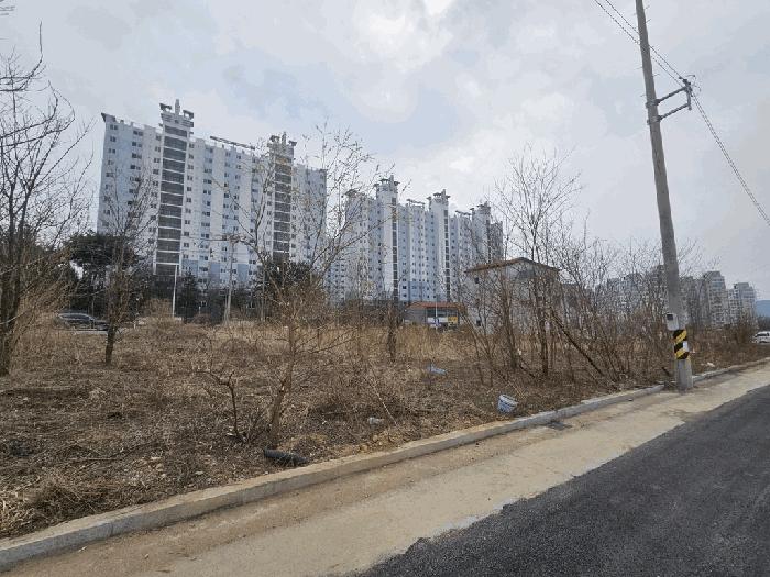 2025타경5280 법원경매 사진14 | 충북 제천시 전답 경매