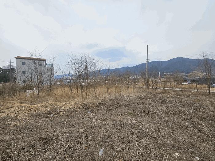 2025타경5280 법원경매 사진7 | 충북 제천시 전답 경매