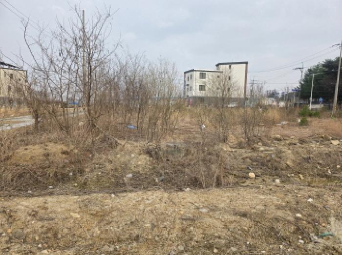 2025타경5280 법원경매 사진9 | 충북 제천시 전답 경매