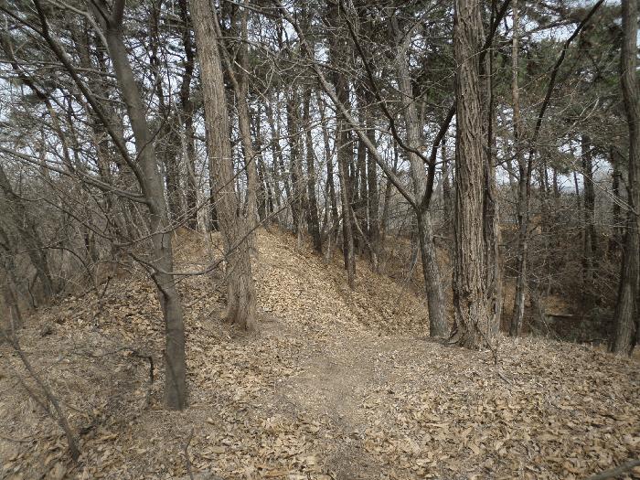 2025타경11392 법원경매 사진3 | 천안 서북구 임야 경매