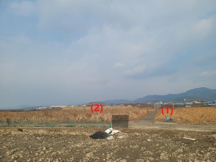법원경매 2024타경11054 사진12 | 대구 동구 신평동 396 답 경매