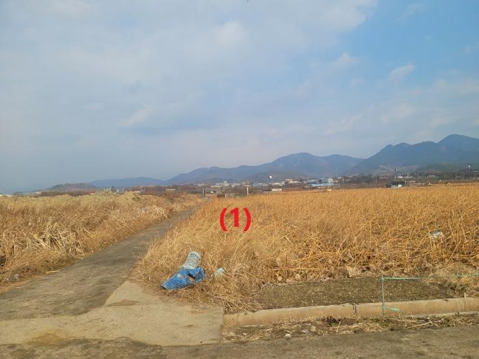 법원경매 2024타경11054 사진2 | 대구 동구 신평동 396 답 경매