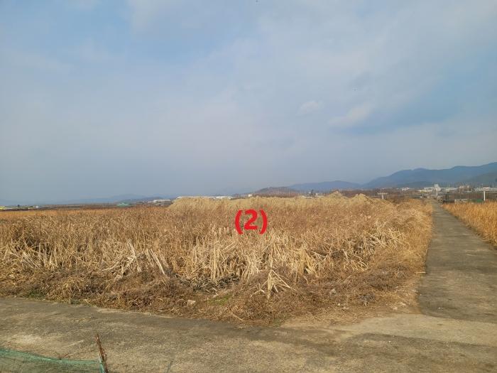 법원경매 2024타경11054 사진3 | 대구 동구 신평동 396 답 경매