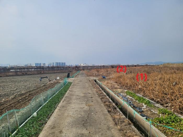 법원경매 2024타경11054 사진4 | 대구 동구 신평동 396 답 경매