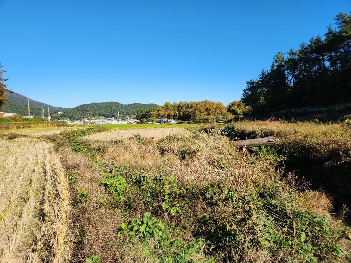 2024타경5850 법원경매 사진2 | 경남 남해군 답 경매