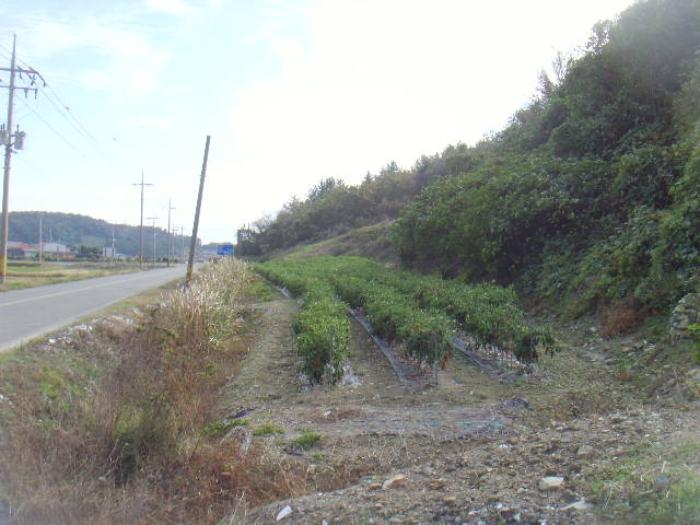 2024타경2210 법원경매 사진6 | 전남 진도군 답 경매