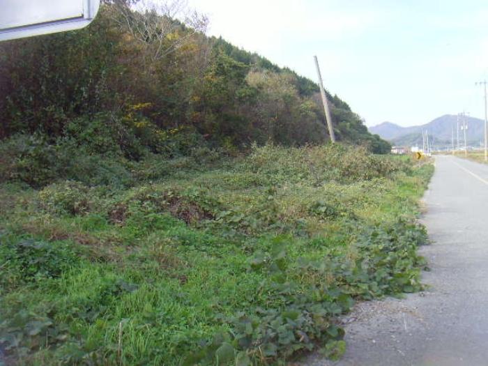 2024타경2210 법원경매 사진7 | 전남 진도군 답 경매
