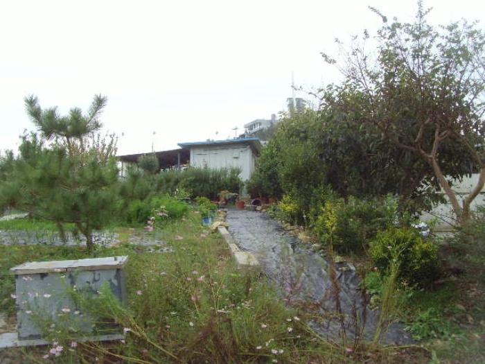 법원경매 2024타경54563 사진42 | 진도군 군내면 녹진리 1-34 근린시설 경매