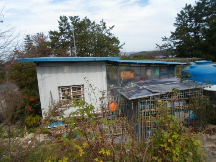 법원경매 2024타경54563 사진7 | 진도군 군내면 녹진리 1-34 근린시설 경매