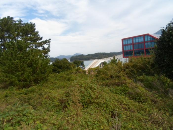 법원경매 2024타경54563 사진8 | 진도군 군내면 녹진리 1-34 근린시설 경매