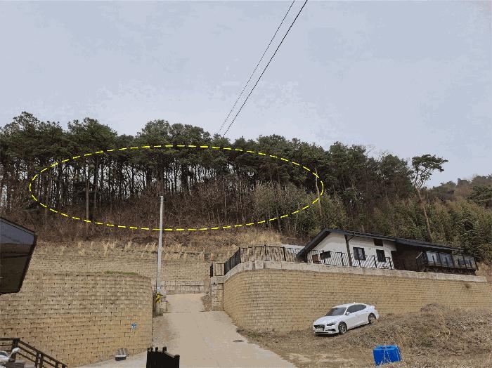 2025타경31037 법원경매 사진2 | 전북 완주군 임야 경매
