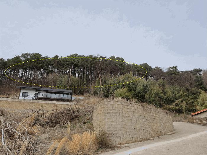 2025타경31037 법원경매 사진4 | 전북 완주군 임야 경매