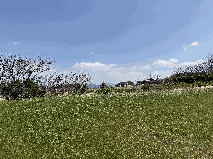 법원경매 2025타경405 사진2 | 고흥군 도덕면 가야리 1232-2 전 경매