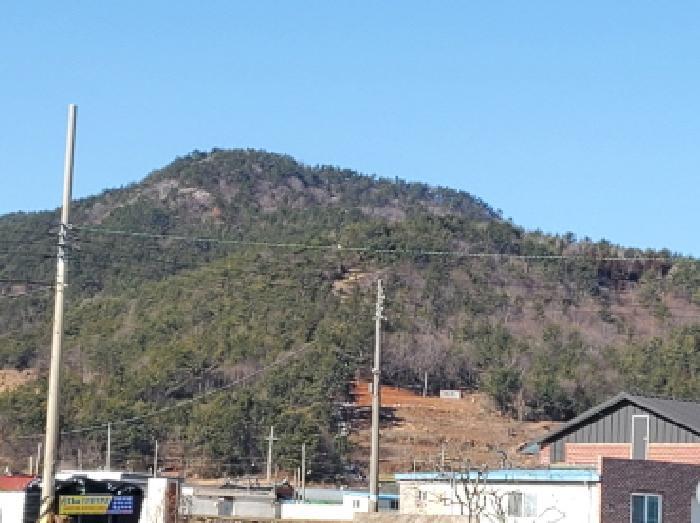 전라남도 여수시 화양면 화동리 산56 법원경매 물건 대표사진