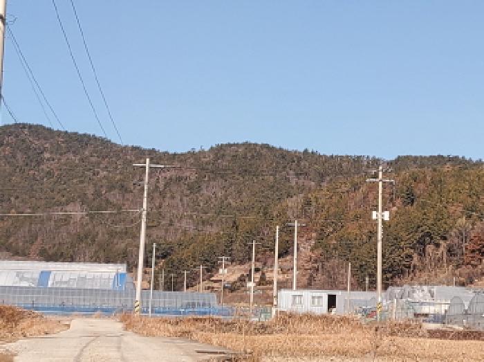 2025타경50206 법원경매 사진10 | 전남 여수시 임야 경매
