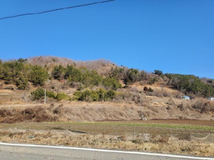 2025타경50206 법원경매 사진6 | 전남 여수시 임야 경매
