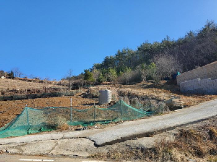 2025타경50206 법원경매 사진8 | 전남 여수시 임야 경매