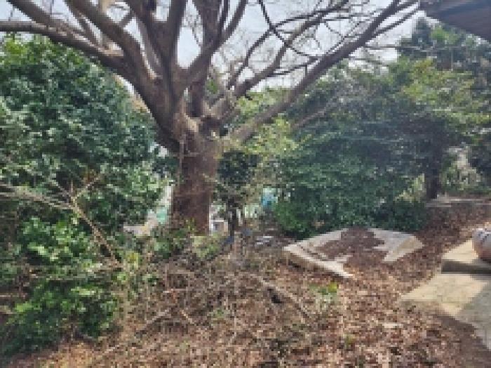 2025타경51173 법원경매 사진13 | 전남 여수시 주택건물 경매