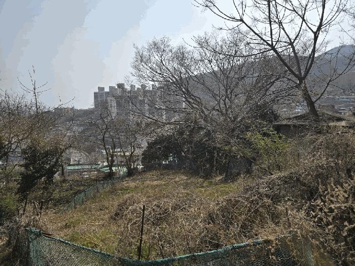 2025타경51173 법원경매 사진2 | 전남 여수시 주택건물 경매