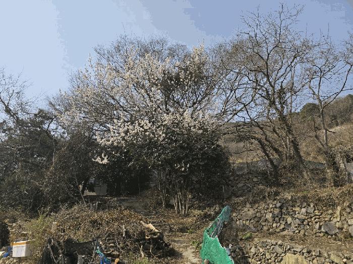 2025타경51173 법원경매 사진3 | 전남 여수시 주택건물 경매