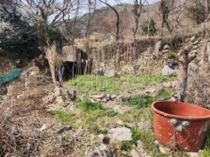 2025타경51173 법원경매 사진33 | 전남 여수시 주택건물 경매