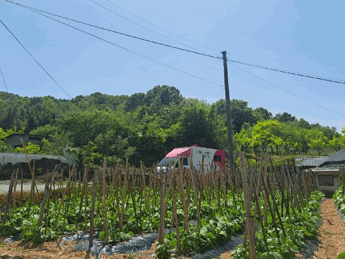 2025타경51384 법원경매 사진2 | 전남 여수시 임야 경매