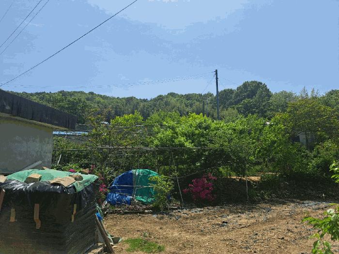 2025타경51384 법원경매 사진4 | 전남 여수시 임야 경매