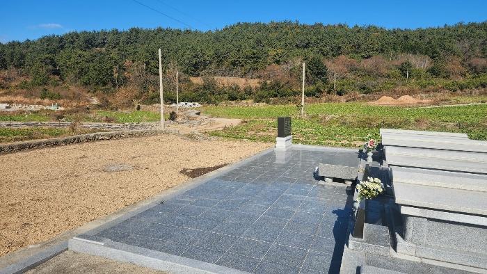2024타경55474 법원경매 사진3 | 전남 완도군 전 경매