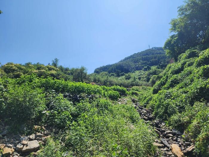 충청북도 충주시 종민동 888-2 법원경매 물건 대표사진