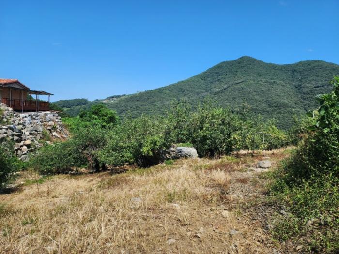 2024타경34381 법원경매 사진3 | 충북 충주시 전 경매