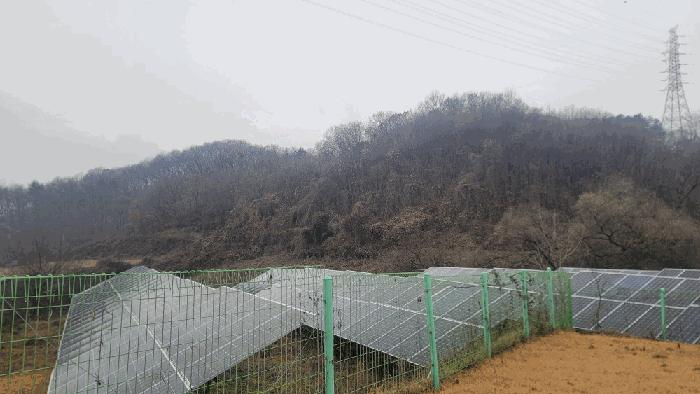 경기도 연천군 청산면 장탄리 959 법원경매 물건 대표사진
