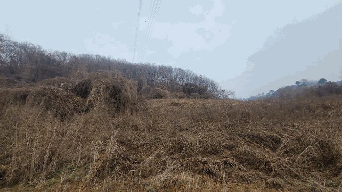 법원경매 2024타경90241 사진6 | 연천군 청산면 장탄리 959 전 경매