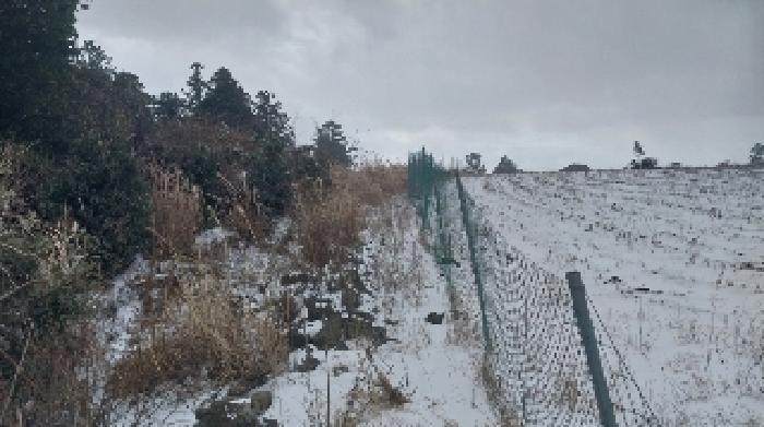 2024타경13373 법원경매 사진6 | 제주 제주시 전 경매