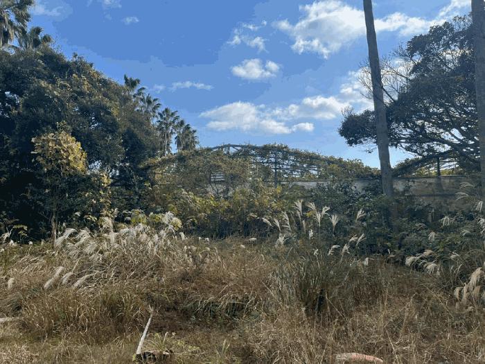 2024타경35953 법원경매 사진4 | 제주 서귀포시 전 경매