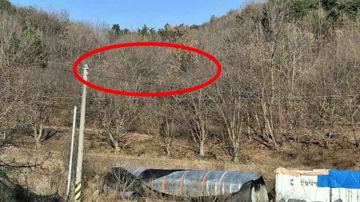 충청남도 당진시 고대면 항곡리 산39-1 법원경매 물건 대표사진