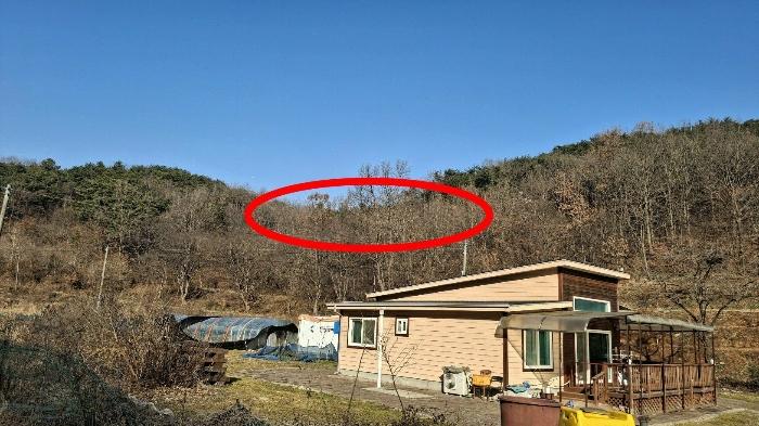2024타경4907 법원경매 사진3 | 충남 당진시 전 경매